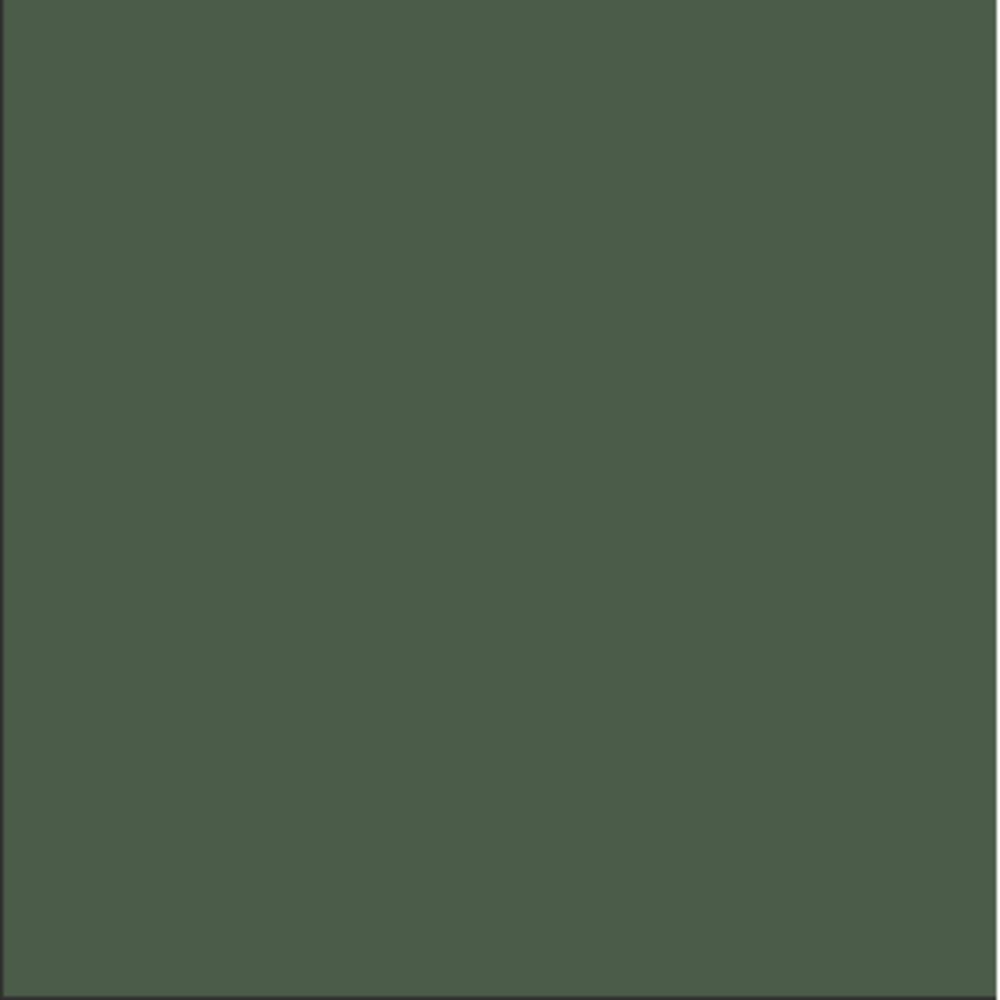 C523 Mr. Color Grass Color (Flat 75%)