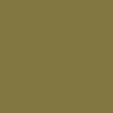 C524 Hay Color (Flat 75%)