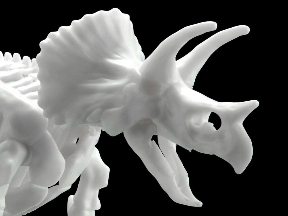 Limex Dinosaur Skeleton Triceratops Model Kit