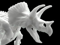Limex Dinosaur Skeleton Triceratops Model Kit