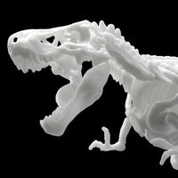 Limex Dinosaur Skeleton Tyrannosaurus Rex Model Kit