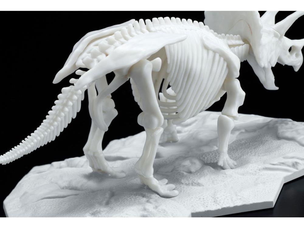 Limex Dinosaur Skeleton Triceratops Model Kit