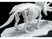 Limex Dinosaur Skeleton Triceratops Model Kit