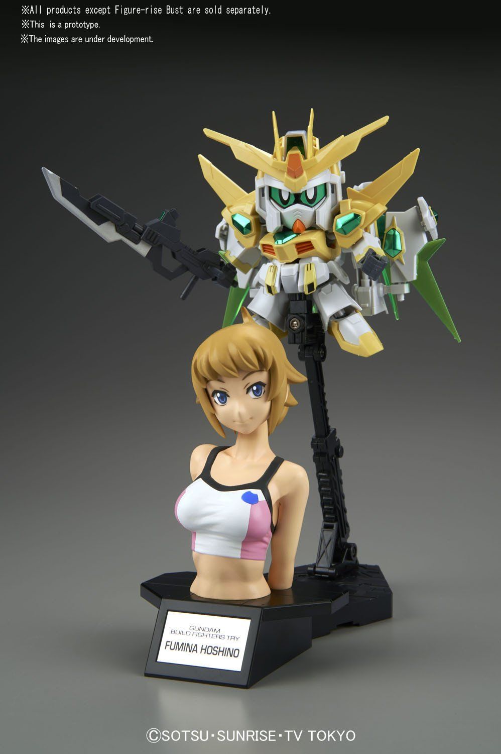 Hoshino Fumina "Gundam Build Fighters Try", Bandai Figure-rise Bust