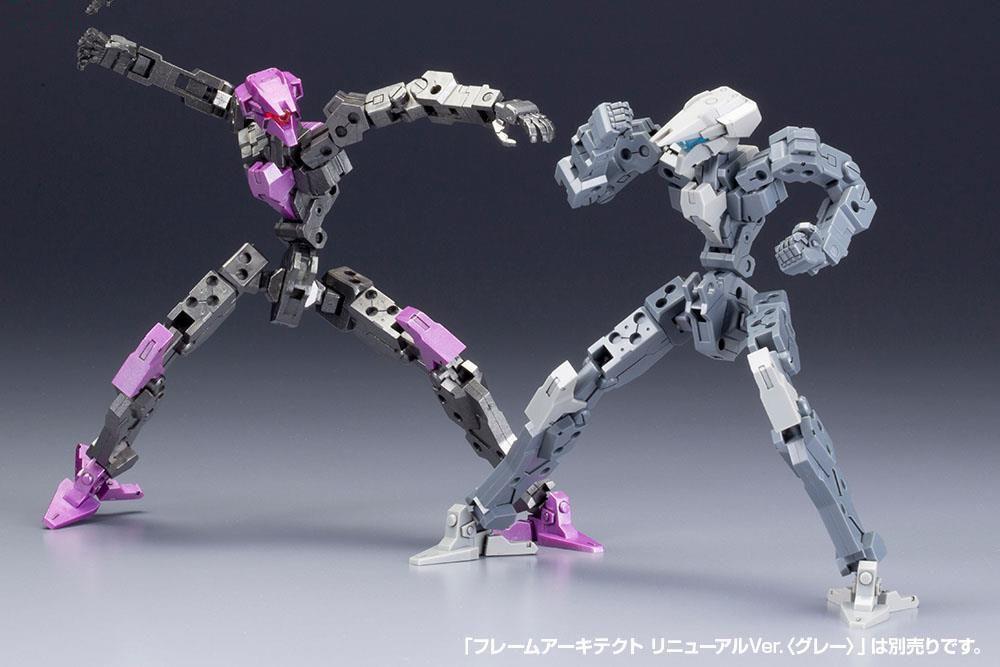 FRAME ARMS FRAME ARCHITECT RENEWAL VER. (GUNMETAL)