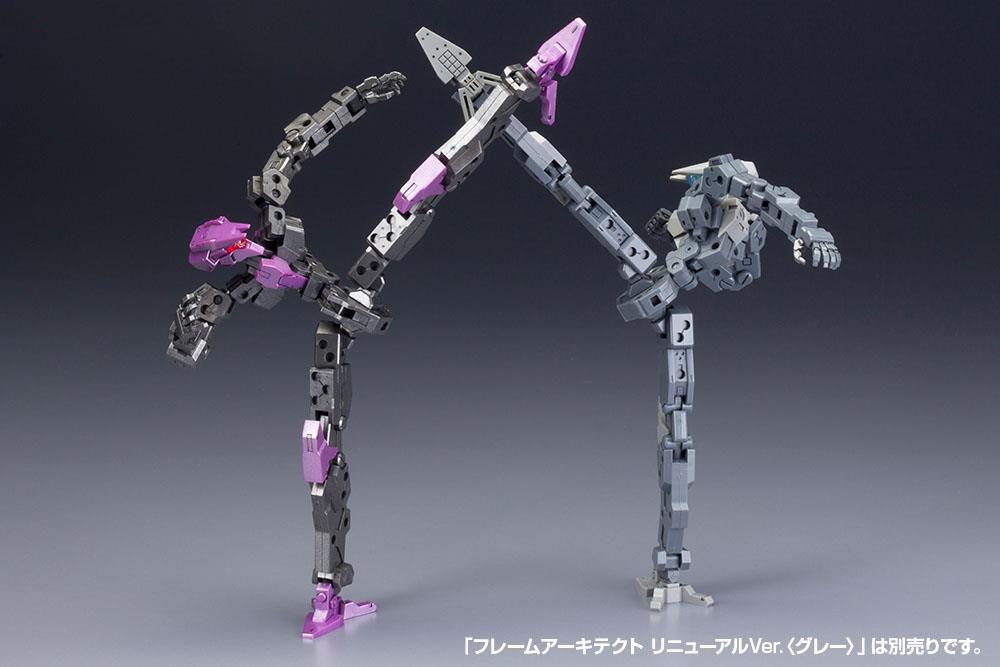 FRAME ARMS FRAME ARCHITECT RENEWAL VER. (GUNMETAL)