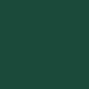 C525 Mr. Color Green (Flat 75%)