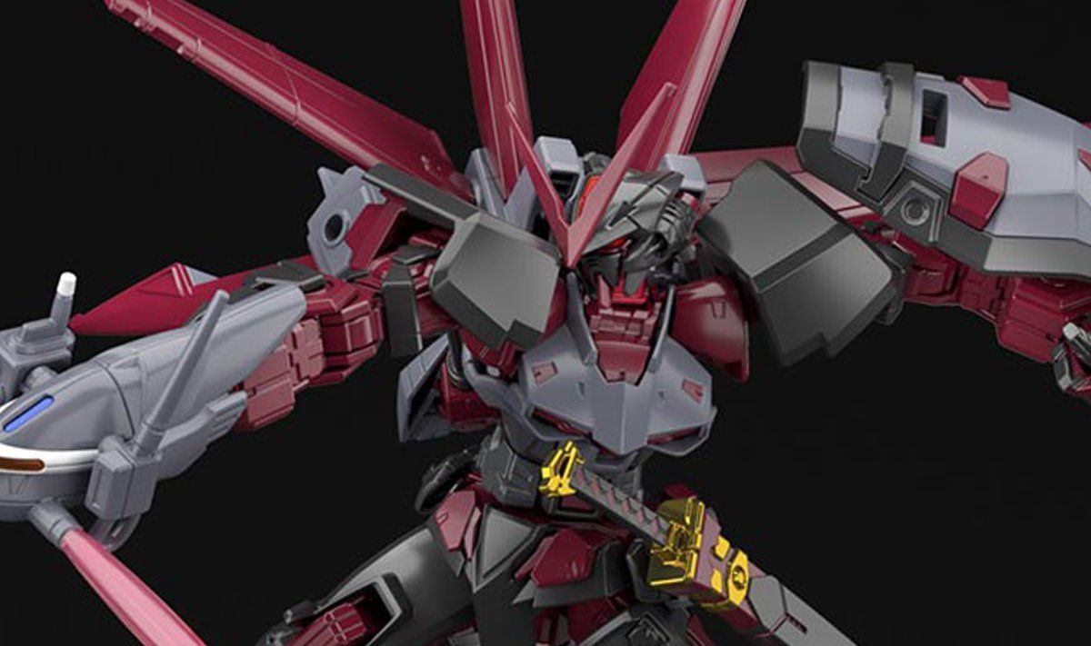 HGBB 1/144 #10 Gundam Astray Red Frame Inversion