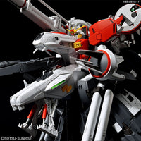 BANDAI MG 1/100 MSA-0011 DEEP STRIKER