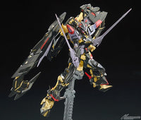RG 1/144 #24 Gundam Astray Gold Frame Amatsu Mina