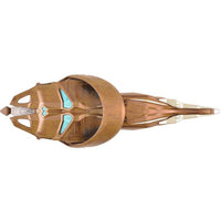 Star Trek: Discovery Collection #6 Vulcan Cruiser